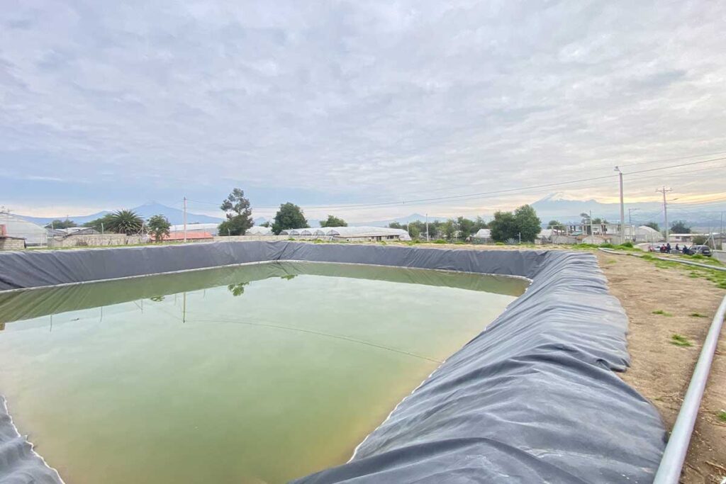 SIGHT program ieee ecuador section