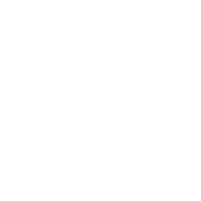 ieee foundation 50 year anniversary logo