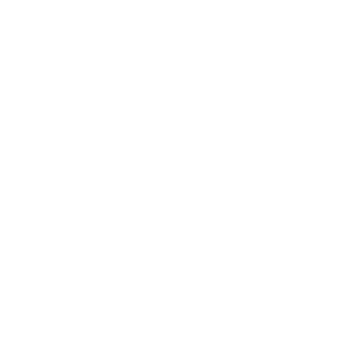 annual icon 50 percent.png